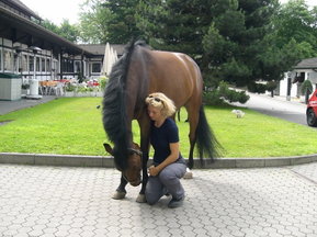 Dr. Camphausen mit einem braunen Pferd