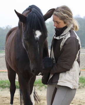 Dr. med. vet. Daniela Camphausen bei der Behandlung